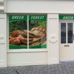 owv_forest.jpg